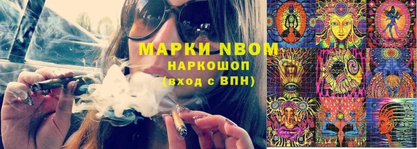 винт Инта