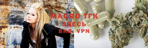 винт Инта