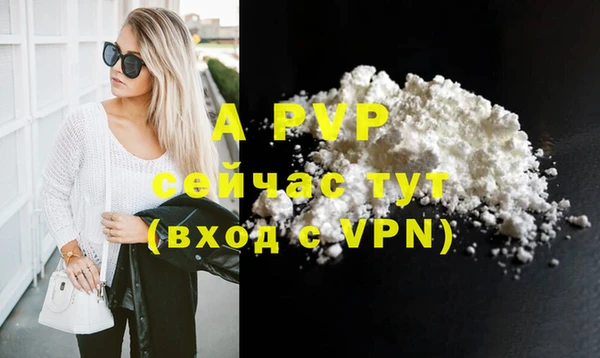 винт Инта