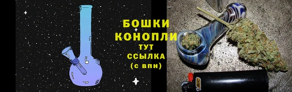 винт Инта
