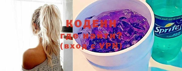 винт Инта