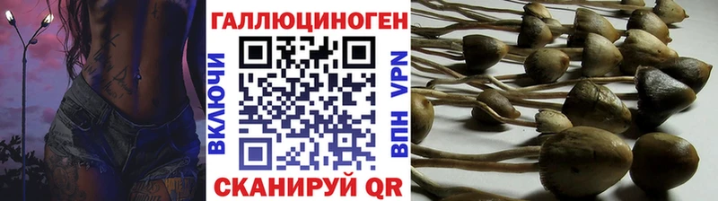 Купить  Талдом  Псилоцибиновые грибы GOLDEN TEACHER 
